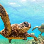 3 Fantastic Family-friendly Vacation Spots
